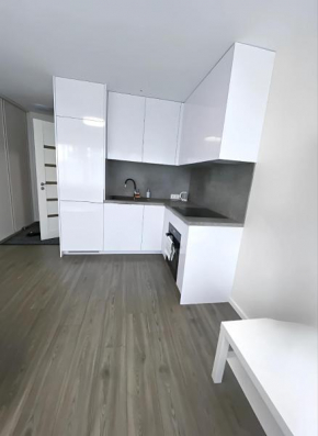 Klaipeda Old Town Studio Apartment Klaipeda